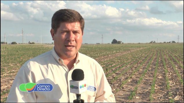 Campo Directo Programa Campo Directo 197 15 de diciembre de 2018