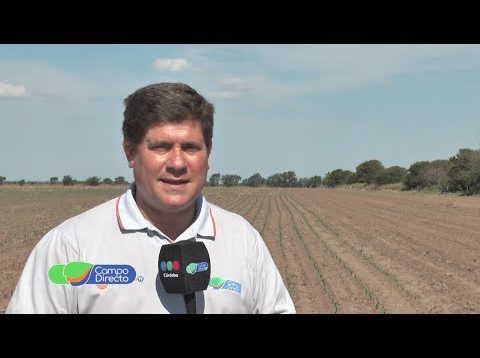 Micro Agropecuario Campo Directo