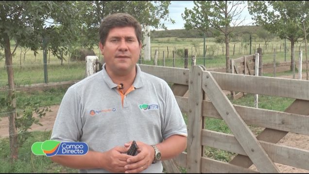 Micro Agropecuario Campo Directo