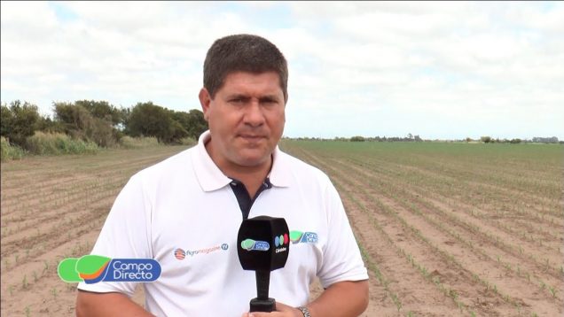 Micro Agropecuario Campo Directo