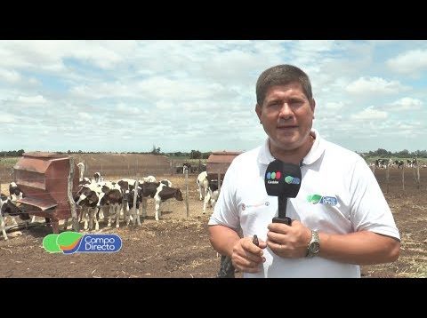 Micro Agropecuario Campo Directo