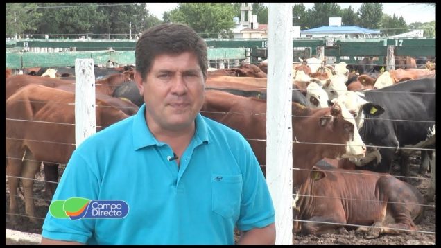 Micro Agropecuario Campo Directo