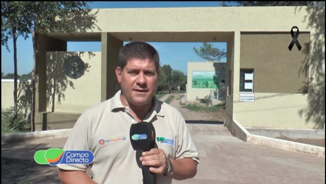 Programa Campo Directo