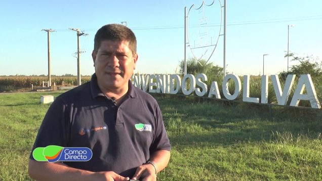 Programa Campo Directo