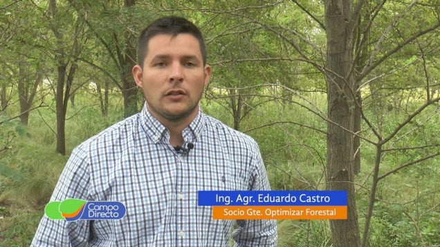 Campo Directo Plan Forestal