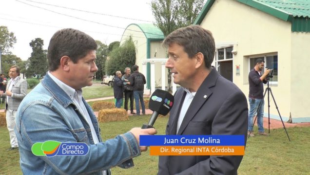 Campo Directo
