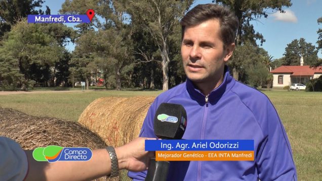 Campo Directo Manfredi prepara Forrajes Conservados 2019