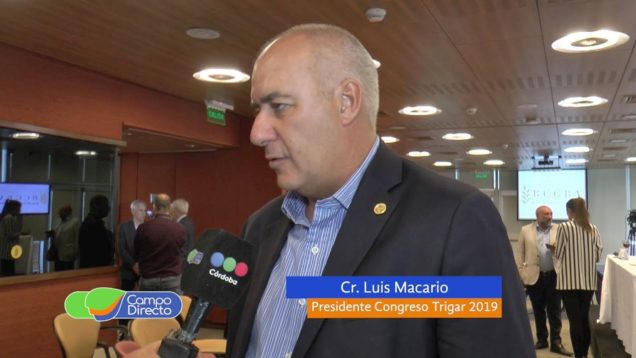 Campo Directo Palpitamos Trigar 2019