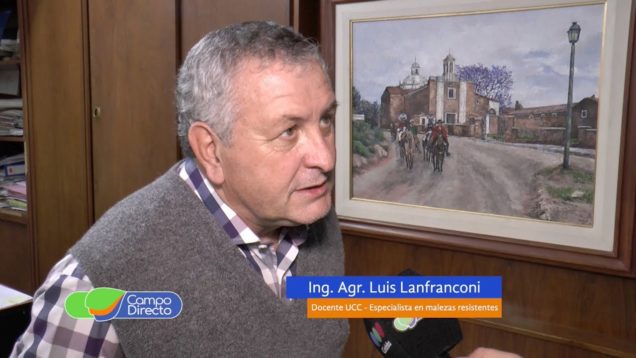 Campo Directo