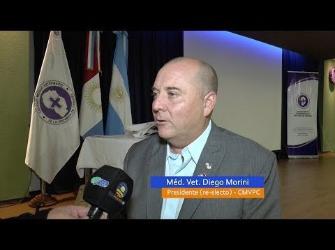 Campo Directo Continuidad en Colegio Veterinario