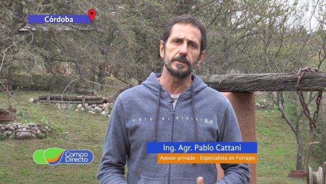 Campo Directo Espacio Forrajero de Campo Directo