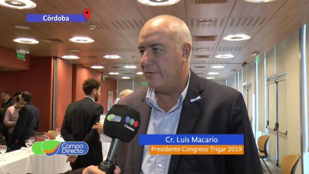Campo Directo Palpitamos TRIGAR 2019 (parte 4)