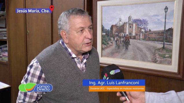 Campo Directo Preparamos los lotes para el trigo