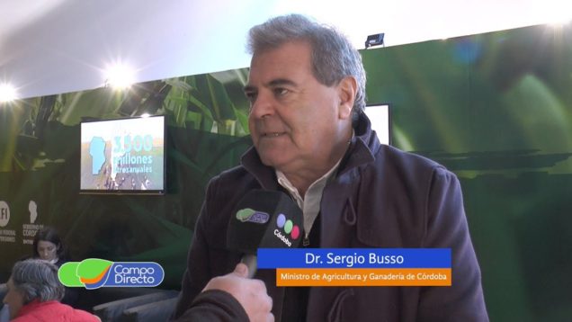 Campo Directo