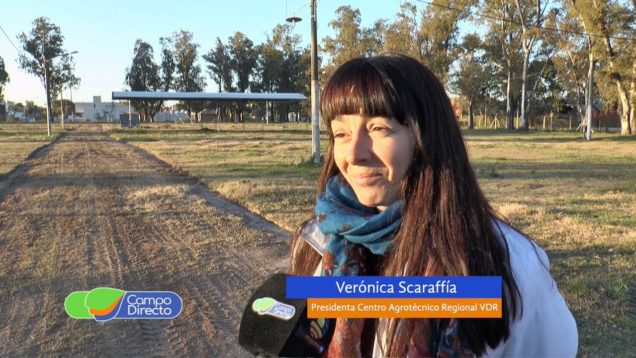Campo Directo Expo Villa 2019 en Septiembre