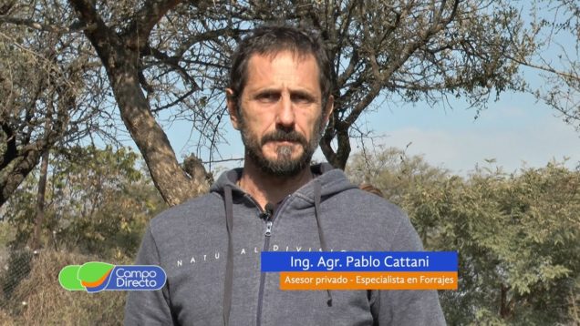 Campo Directo Llegó el invierno Correcta utilización del Silaje