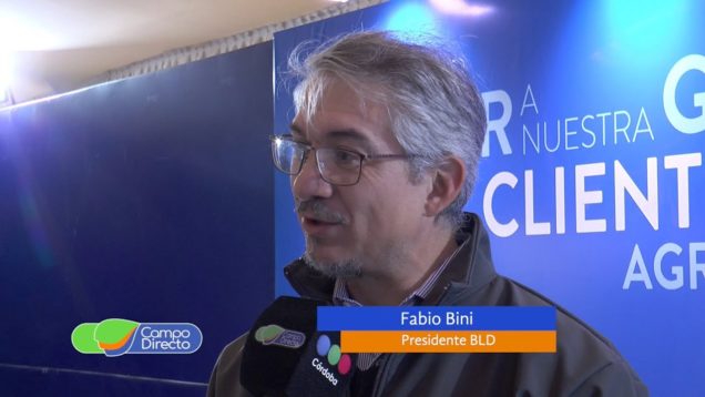 Campo Directo