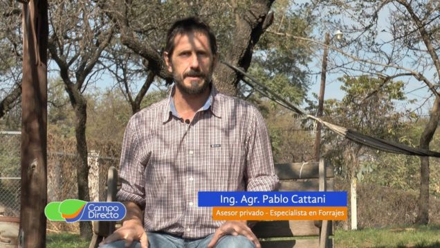Campo Directo Correcta utilización de Mixers