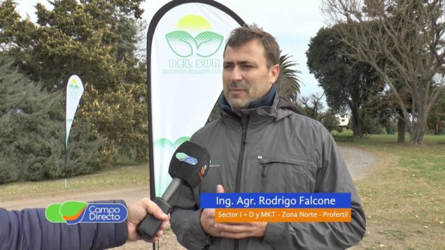 Campo Directo La buena fertilización, clave para mejorar rendimientos