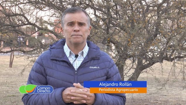Campo Directo Los cambios tras la devaluación