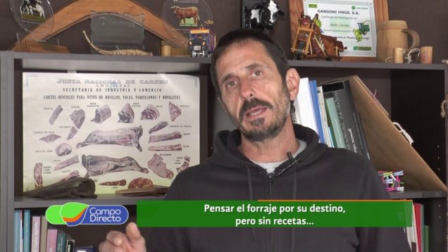 Campo Directo Espacio Forrajero