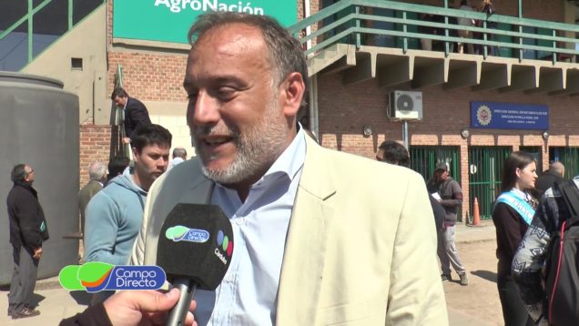 Campo Directo Expo Río Cuarto 2019
