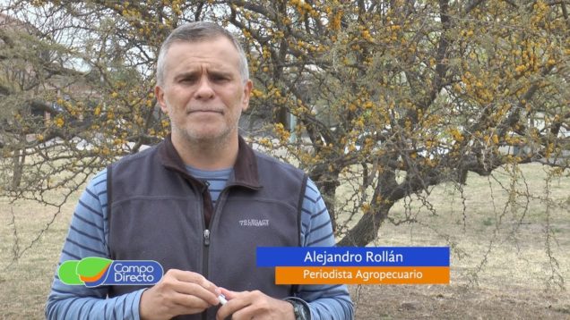 Campo Directo Más carne de Cerdo al Mundo