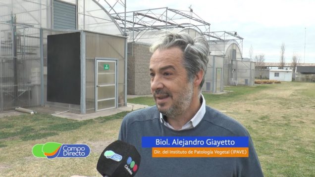 Campo Directo Promo Jornada INTA CIAP