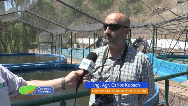 Campo Directo El Pejerrey vuelve a los lagos de Córdoba