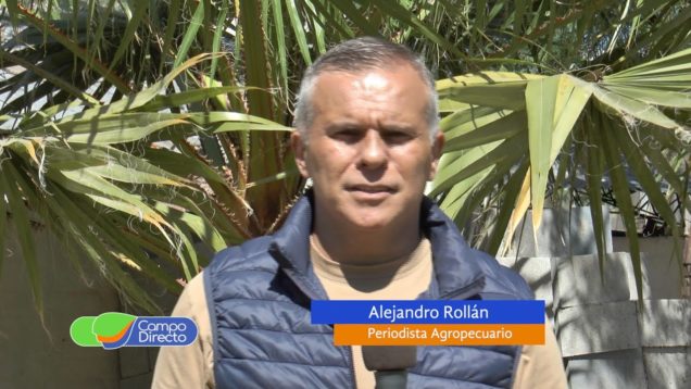 Campo Directo Perspectivas de precios en la ganadería