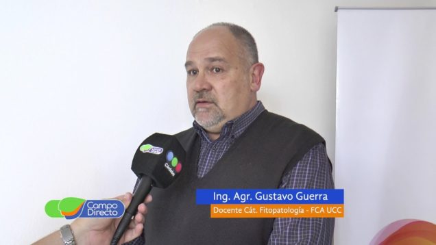 Campo Directo Análisis de enfermedades en trigo y garbanzo