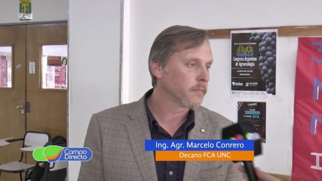 Campo Directo Carne Sintética?