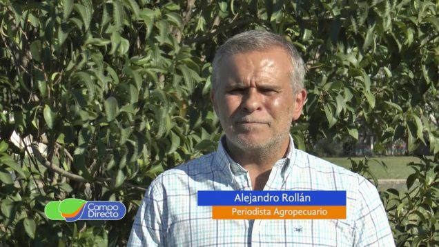 Campo Directo El futuro de la maquinaria agrícola