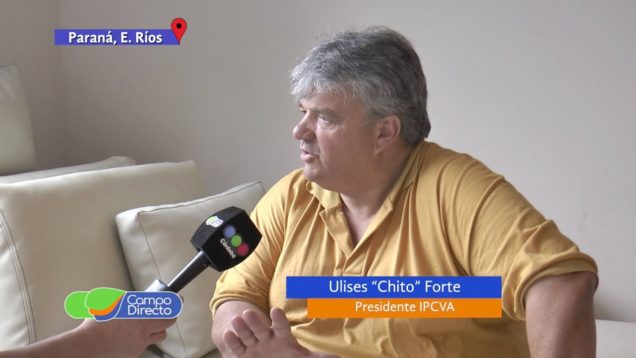 Campo Directo La Carne Argentina en el nuevo escenario político