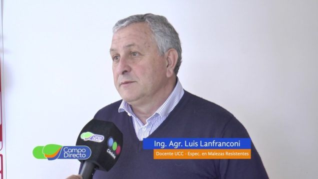 Campo Directo Las malezas no frenan