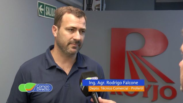 Campo Directo Los números de la fertilización en el maíz