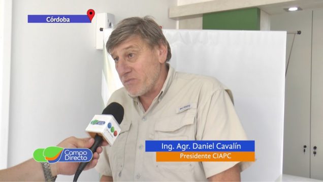 Campo Directo Soja NO transgénica