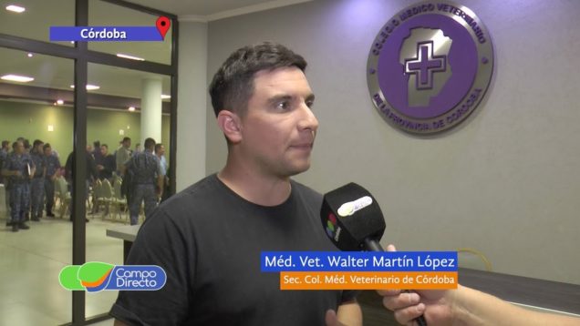 Campo Directo Transporte de equinos, lo que hay que saber