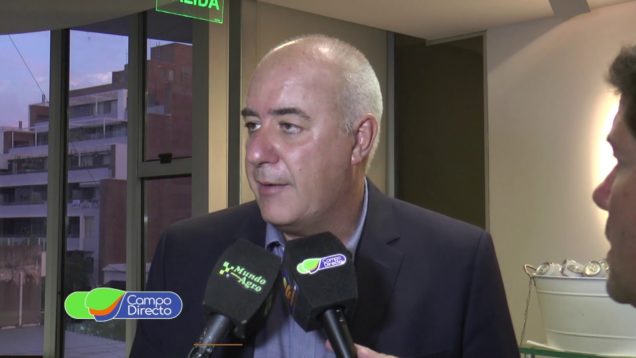 Campo Directo El maní y una excelente campaña