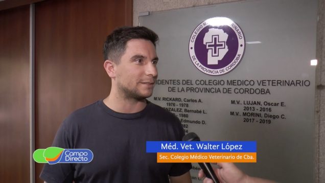 Campo Directo Enfermedades transmitidas por hemoparásitos