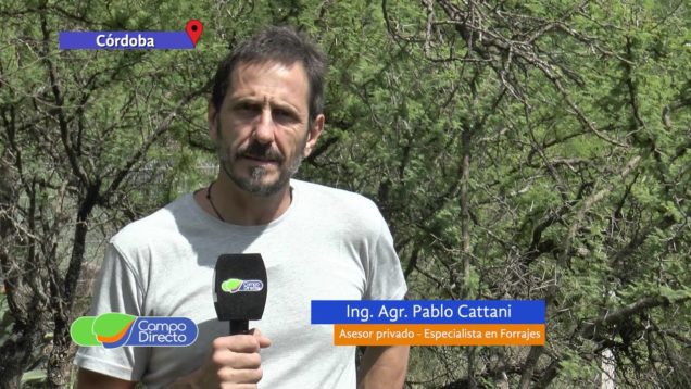 Campo Directo Espacio Forrajero