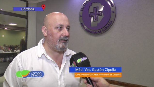 Campo Directo Hemoparasitosis en Animales