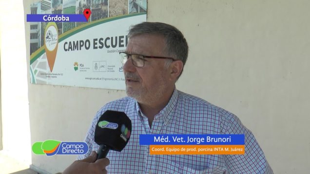 Campo Directo Jornada de Producción Porcina