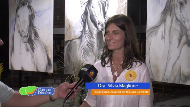 Campo Directo Turismo Rural en San Clemente