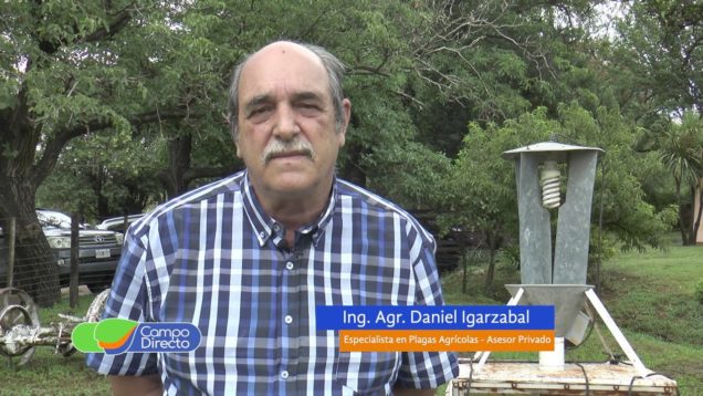 Campo Directo | Alerta de plagas agrícolas para enero