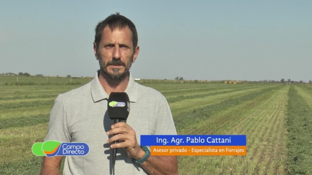 Campo Directo | Espacio Forrajero