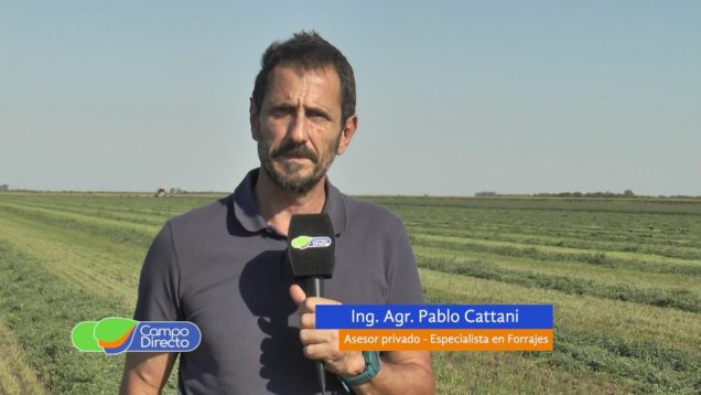 Campo Directo | Espacio Forrajero – Calidad de Corte en Alfalfa