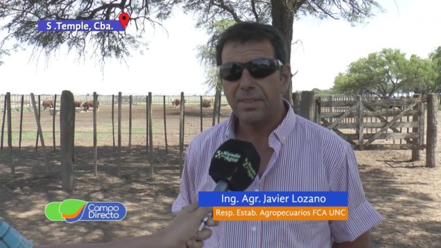 Campo Directo | Prueba pastoril Hereford – Nuevo Ciclo