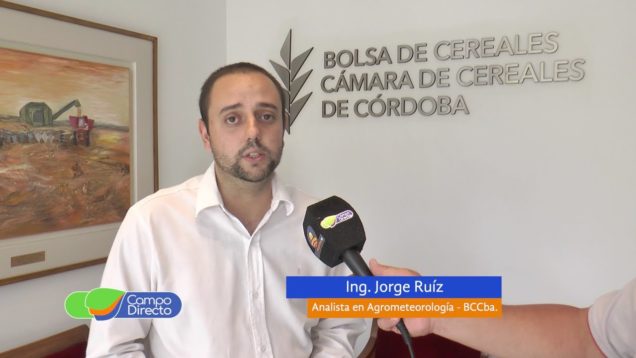 Campo Directo | Estado de los cultivos en la provincia