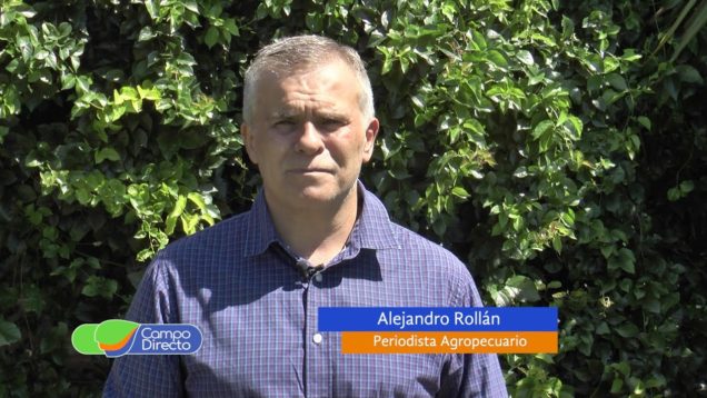 Campo Directo | La situación de la ganadería